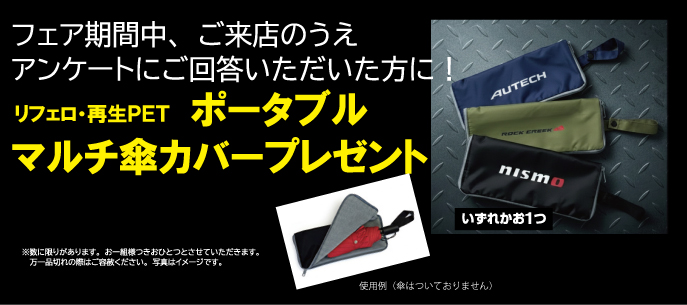 カスタムカーフェア